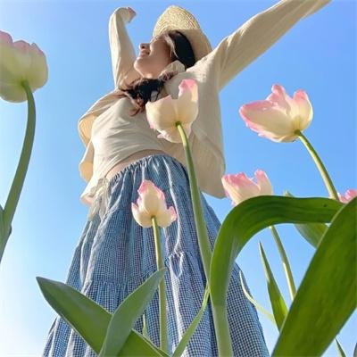监察局长